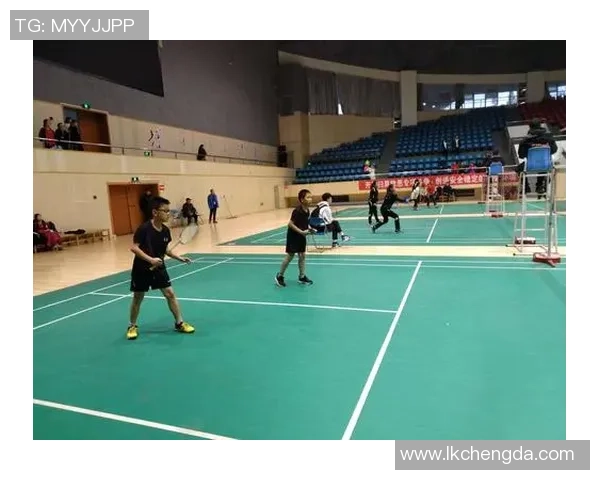 成都与深圳羽毛球队赛后心理素质分析与反思 成都与深圳羽毛球队赛后心理素质分析与反思