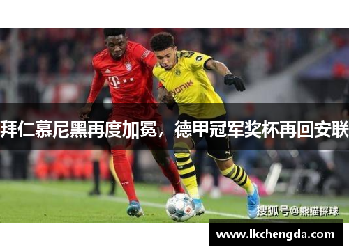 拜仁慕尼黑再度加冕，德甲冠军奖杯再回安联